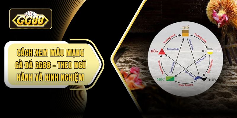 Cách xem màu mạng gà đá