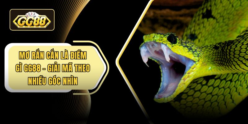 Mơ rắn cắn là điềm gì